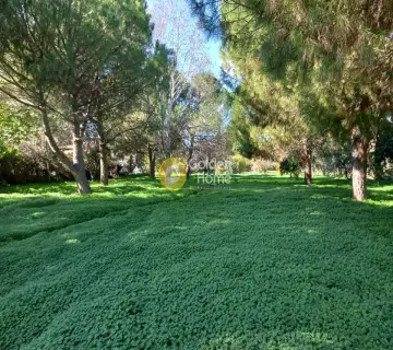 Area 7000m<sup>2</sup> for sale photo 2