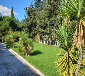Area 7000m<sup>2</sup> for sale photo 3
