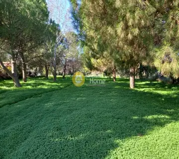 Area 7000m<sup>2</sup> for sale photo 6