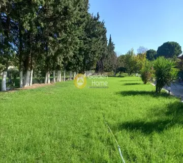 Area 7000m<sup>2</sup> for sale photo 9