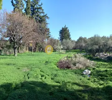 Area 7000m<sup>2</sup> for sale photo 12