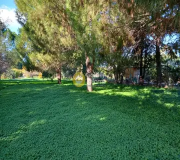 Area 7000m<sup>2</sup> for sale photo 14