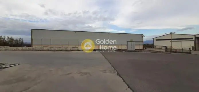 Warehouse 6000m<sup>2</sup> for rent photo 1