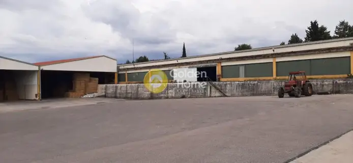 Warehouse 6000m<sup>2</sup> for rent photo 5
