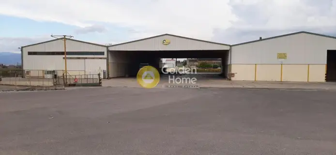 Warehouse 6000m<sup>2</sup> for rent photo 6