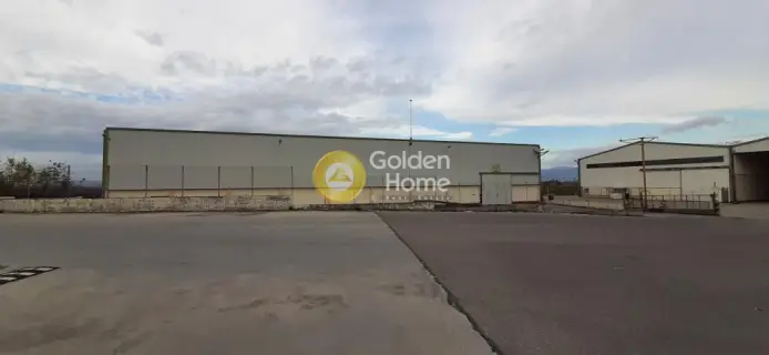 Warehouse 6000m<sup>2</sup> for rent photo 3