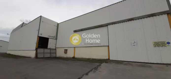Warehouse 6000m<sup>2</sup> for rent photo 7