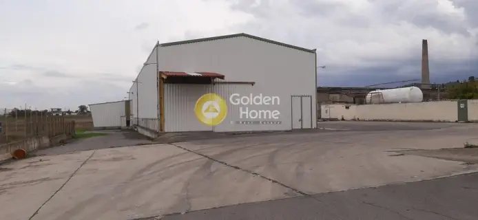 Warehouse 6000m<sup>2</sup> for rent photo 8