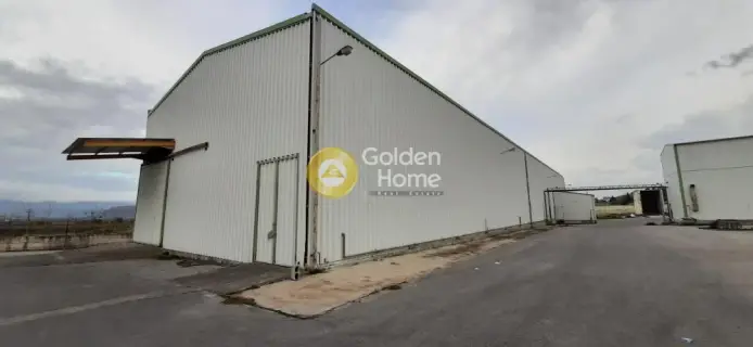 Warehouse 6000m<sup>2</sup> for rent photo 9