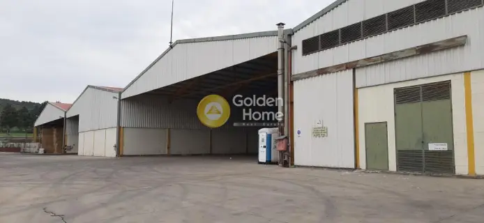 Warehouse 6000m<sup>2</sup> for rent photo 10
