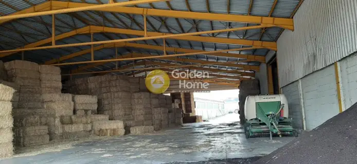 Warehouse 6000m<sup>2</sup> for rent photo 12