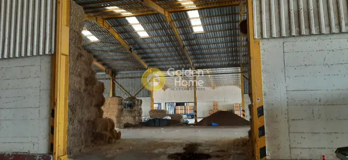 Warehouse 6000m<sup>2</sup> for rent photo 13