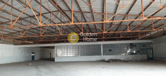 Warehouse 6000m<sup>2</sup> for rent photo 14