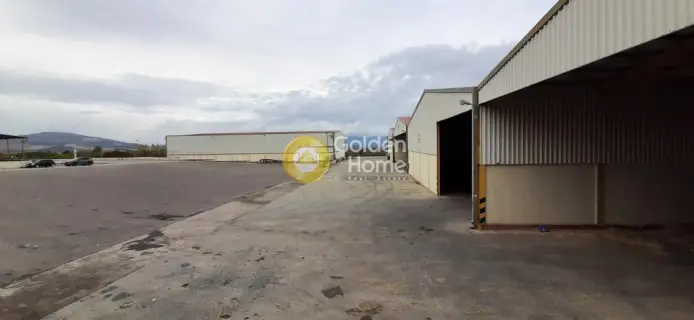 Warehouse 6000m<sup>2</sup> for rent photo 15