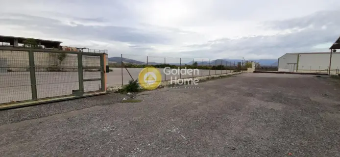 Warehouse 6000m<sup>2</sup> for rent photo 21