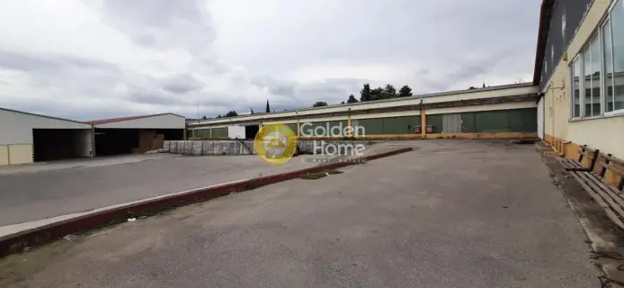 Warehouse 6000m<sup>2</sup> for rent photo 22