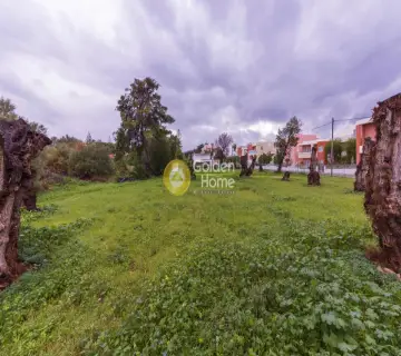 Professional Plot 11000m<sup>2</sup> for sale photo 5