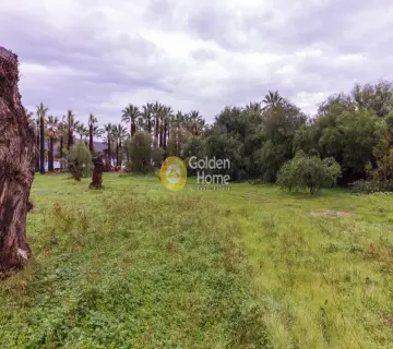 Professional Plot 11000m<sup>2</sup> for sale photo 6