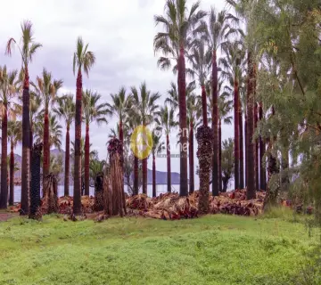 Professional Plot 11000m<sup>2</sup> for sale photo 2