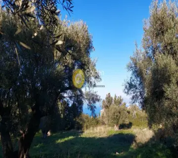 Residential 2451m<sup>2</sup> for sale photo 2953843