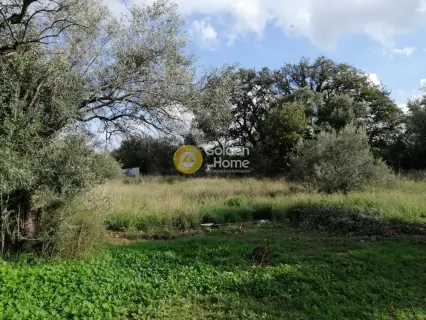 Residential 475m<sup>2</sup> for sale photo 9