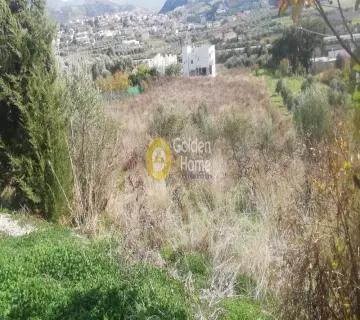 Residential 6500m<sup>2</sup> for sale photo 9