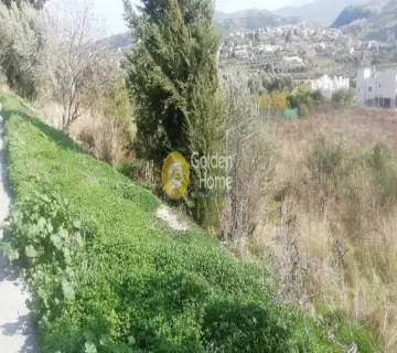 Golden Home Property Image