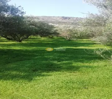 Residential 2900m<sup>2</sup> for sale photo 2907877