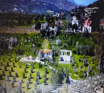 Golden Home Property Image