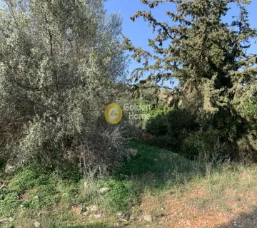 Parcel 5000m<sup>2</sup> for sale photo 1
