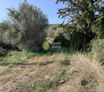 Parcel 5000m<sup>2</sup> for sale photo 3