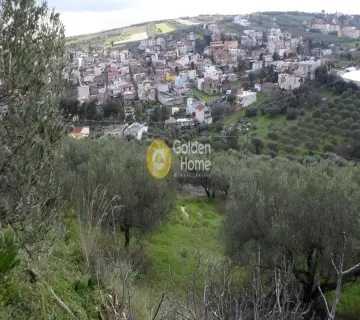 Golden Home Property Image