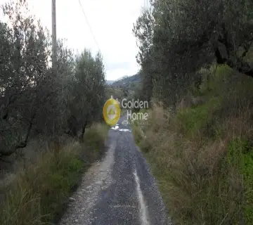 Residential 1354m<sup>2</sup> for sale photo 3021400