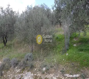 Residential 1354m<sup>2</sup> for sale photo 20