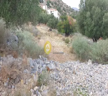 Residential 3800m<sup>2</sup> for sale photo 5