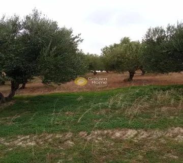 Οικιστικό 6441τ.μ. προς πώληση φωτογραφία 1