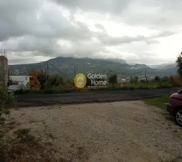 Οικιστικό 6441τ.μ. προς πώληση φωτογραφία 8