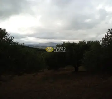 Οικιστικό 6441τ.μ. προς πώληση φωτογραφία 11