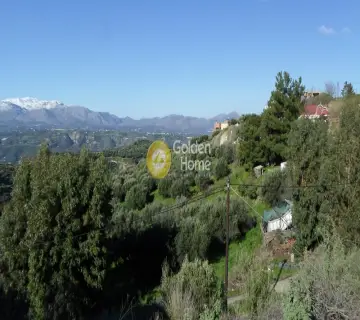 Golden Home Property Image