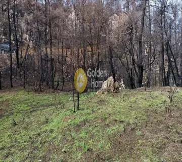 Golden Home Property Image