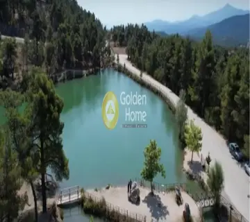 Golden Home Property Image