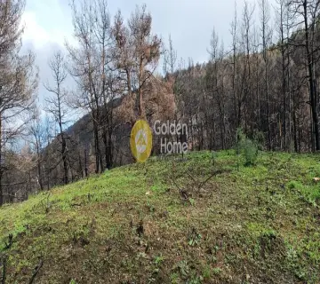 Golden Home Property Image