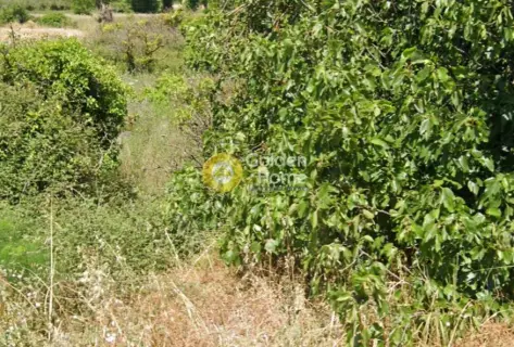 Parcel 500m<sup>2</sup> for sale photo 2934027