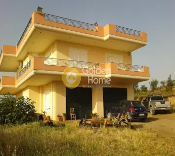 Golden Home Property Image