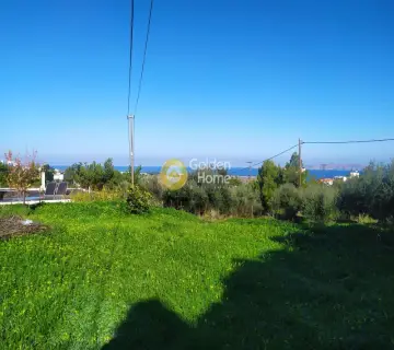 Residential 1000m<sup>2</sup> for sale photo 6