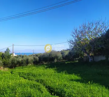 Residential 1000m<sup>2</sup> for sale photo 9