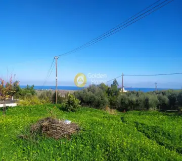Residential 1000m<sup>2</sup> for sale photo 2