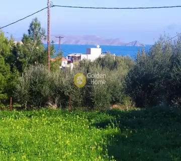 Residential 1000m<sup>2</sup> for sale photo 19