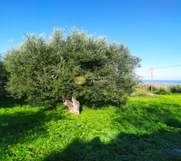 Residential 1000m<sup>2</sup> for sale photo 22