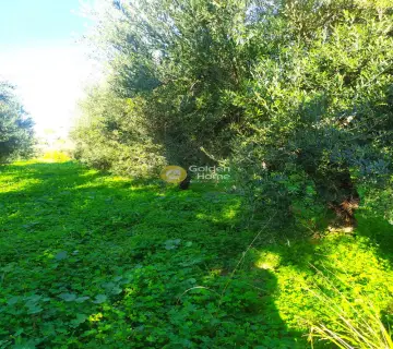 Residential 1000m<sup>2</sup> for sale photo 25